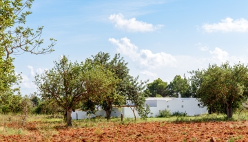 WEB RES-plotesnovells-2.jpg